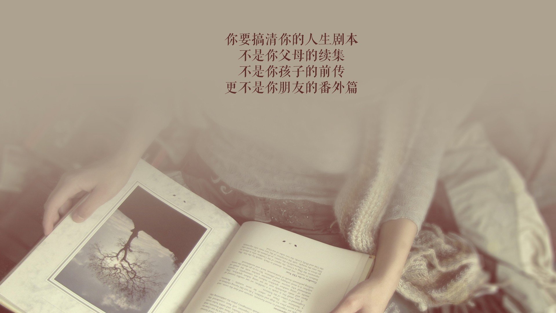 Kaiyun(中国)开云-_攀岩飞跃极限：征服巍峨山峰_，攀岩跳跃