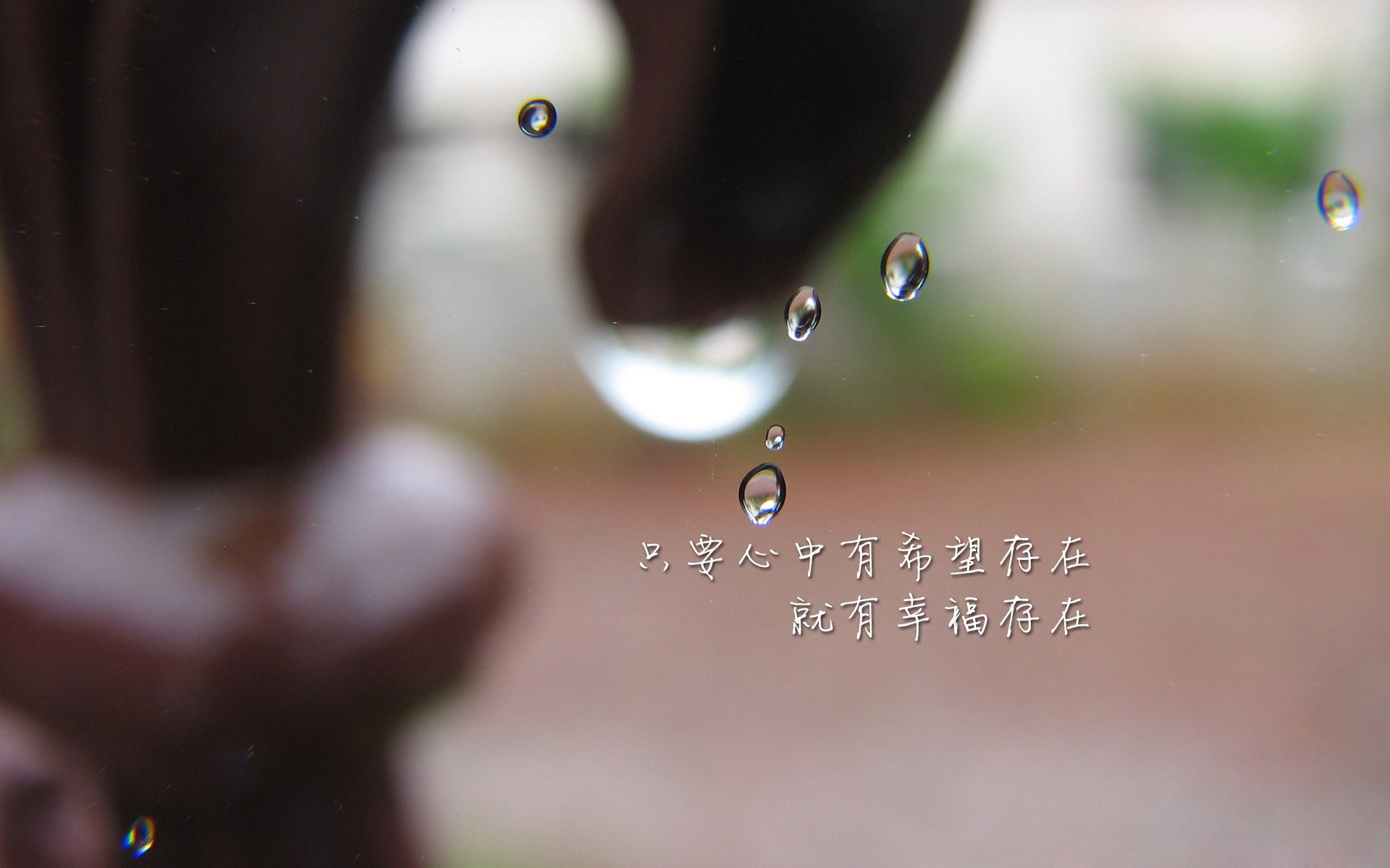 开云官方网页登录-中国体操队公布奥运阵容，中国体操队 奥运
