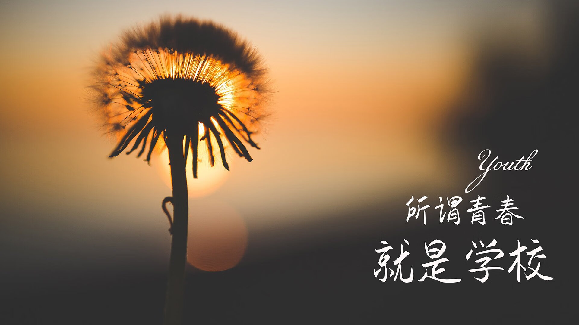 篮球运动员专项体能训练课程体系构建与科学实施，篮球运动专项体能训练的研究