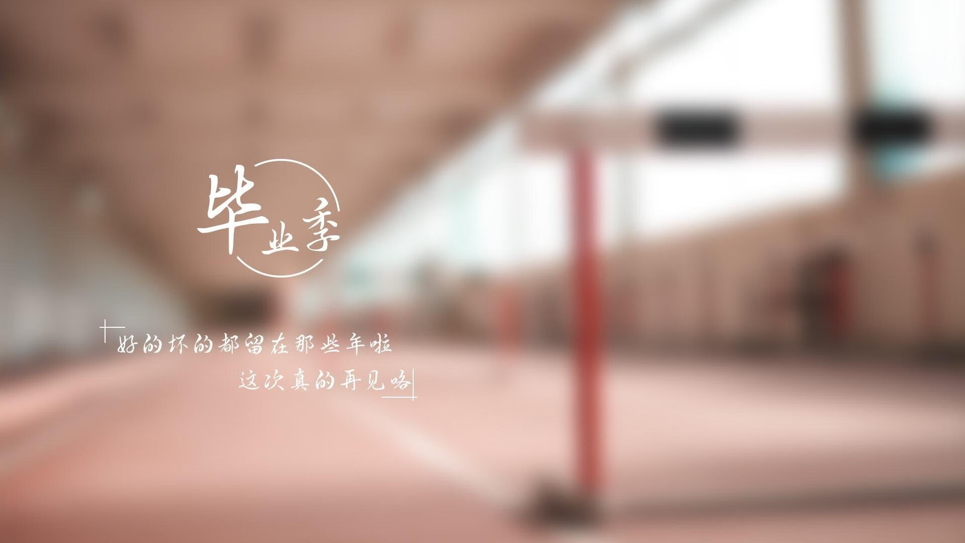 英超球员社交媒体互动提升粉丝忠诚度研究，英超球员信息