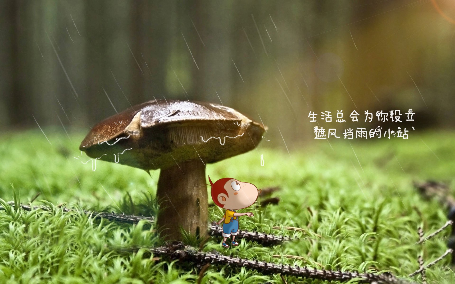 开云官方-天府新区打造轻艇马拉松“样板赛事”