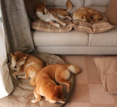 英超最火爆：逆境奋战，造就奇迹！，英超最善于逆转的球队